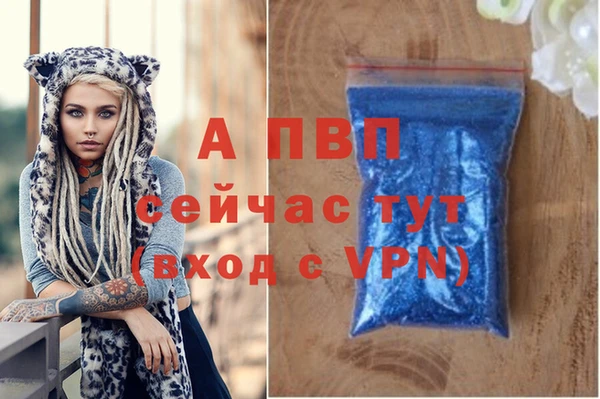 a pvp Володарск